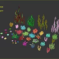 Colorful Marine Plants And Corals With Green Seaweed Pink Purple Blue Yellow On Black Background