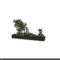 Bonsai and Various Potted Plants Including Cactus Succulents and Leafy Greens for Natural Indoor Decor