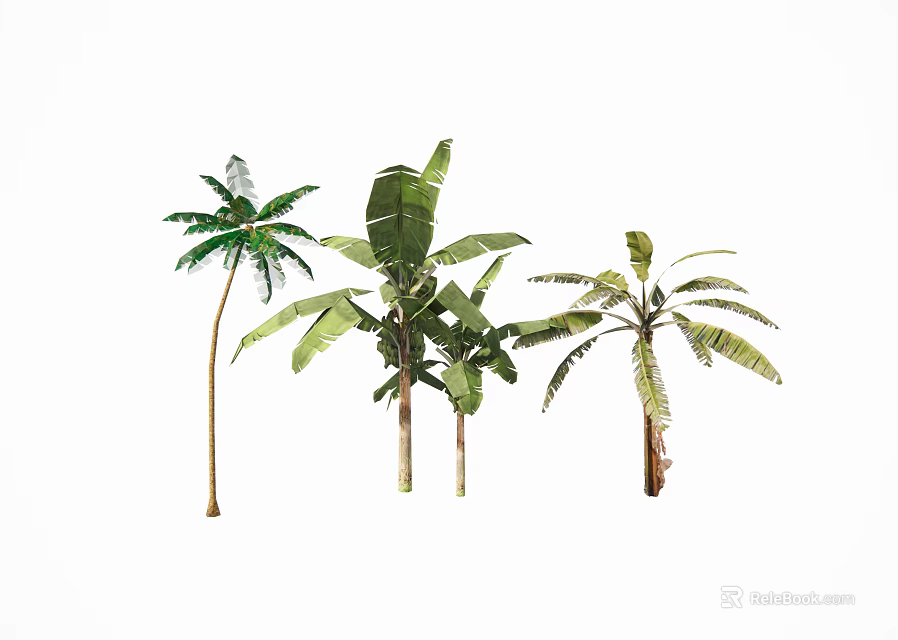 Tropical Plant Combination With Lush Green Leaves And Varied Trunk Heights 3d model 