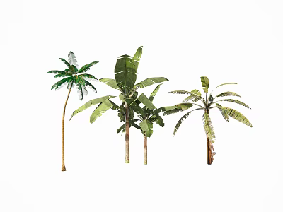 Tropical Plant Combination With Lush Green Leaves And Varied Trunk Heights 3d model