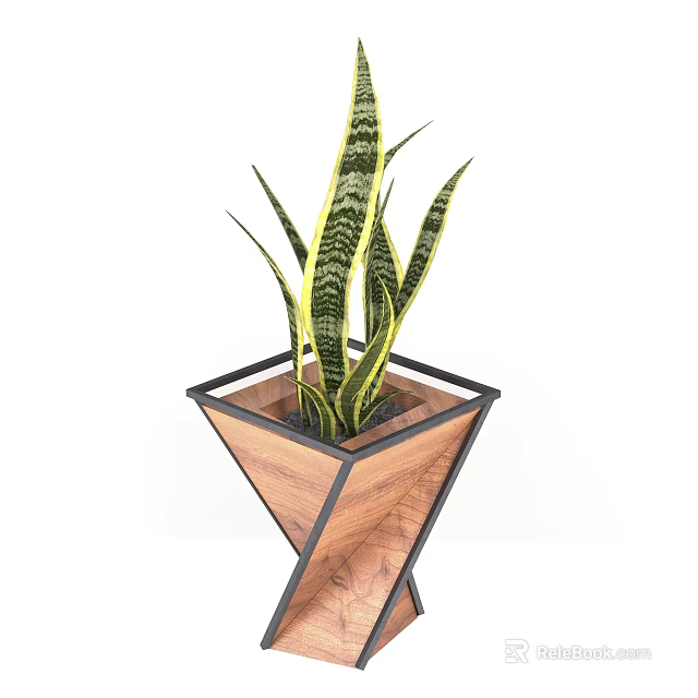 Modern Bonsai Potted Snake Plant With Wooden Metal Frame Design 3d model 