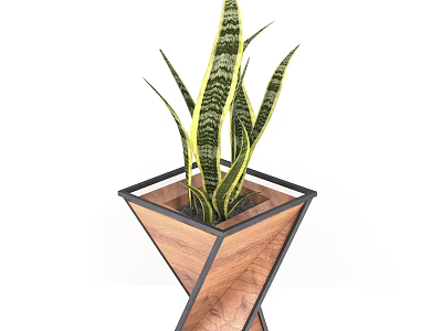 Modern Bonsai Potted Snake Plant With Wooden Metal Frame Design 3d model