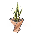 Modern Bonsai Potted Snake Plant With Wooden Metal Frame Design