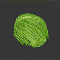 Fresh Green Cabbage With Textured Leafy Outer Layers On Dark Surface 3d model