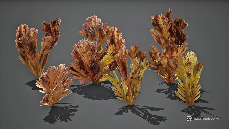 Colorful Aquatic Plants With Feathery Fronds And Vibrant Red Yellow Brown Tones 3d model 
