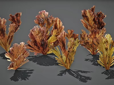 Colorful Aquatic Plants With Feathery Fronds And Vibrant Red Yellow Brown Tones 3d model