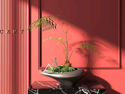 Bonsai Potted Plant with Green Foliage on Black Marble Table Against Red Wall 3d model