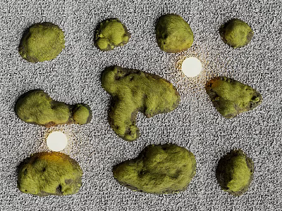 Green Moss Clumps Growing On Gray Surface With Multiple Light Spots 3d model