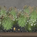 Lush Green Grasses With White Flowers Growing Along Stone Path And Wooden Deck