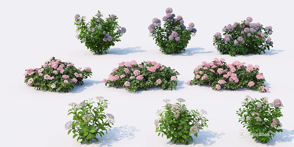 Vibrant Garden Flowers And Plants With Purple Pink White Blooms And Lush Green Leaves 3d model 