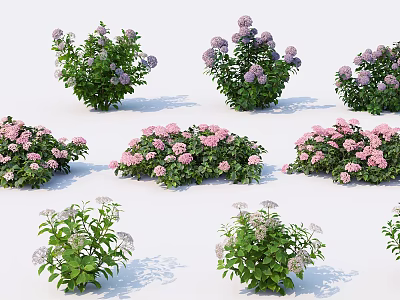 Vibrant Garden Flowers And Plants With Purple Pink White Blooms And Lush Green Leaves 3d model