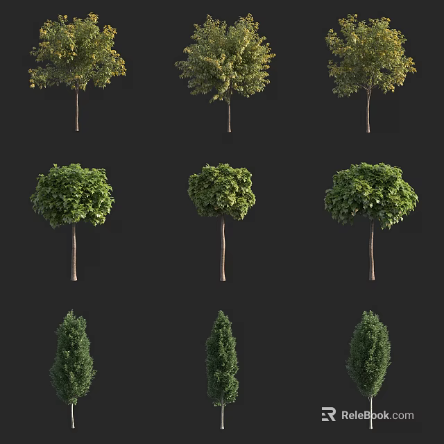 Various Arbor Tree Types with Different Shapes and Green Foliage for Landscaping 3d model