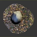Natural Gray Stone Surrounded by Colorful Fallen Leaves and Lush Green Grass