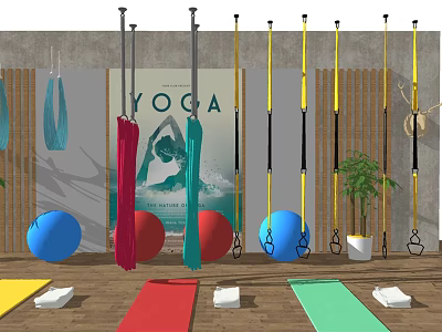 Essential Yoga Fitness Equipment With Suspension Straps Hammocks Mats And Exercise Balls For Studio 3d model