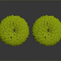 Two 3D Rendered Decorative Plants With Green Lush Leaves And Yellow Textured Trunks