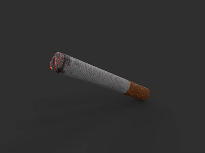 Realistic 3D Render of Lit Cigarette with Burning Tip Ash and Brown Filter 3d model