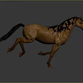 Brown Horse Running Gracefully with Dynamic Movement on Gray Background 3d model