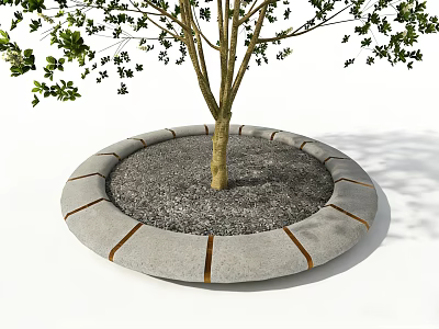 Concrete Tree Pit Design With Gravel Filling And Wooden Strips Around Tree Trunk 3d model
