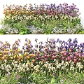 Colorful Flowers and Plants With Vibrant Blooms Green Foliage in Garden