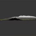 3D Mountain Terrain Model With Green Base White Peaks And Gray Slopes