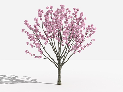 Modern Peach Tree model