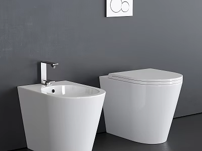 Modern White Toilet With Bidet Against Gray Wall In Minimalist Design 3d model