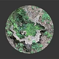 Rustic Wood Stone Landscape Decoration Featuring Tree Stump And Green Plants