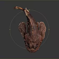 Aquatic Animal Red Fish With Rough Textured Skin On Dark Background Surface