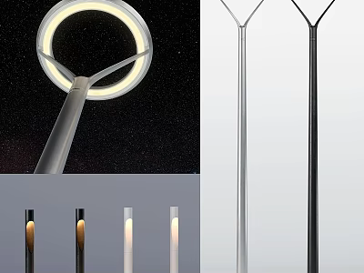 Outdoor Lights With Modern Design Silver And Black Finish Tall Pole Circular Light Head 3d model
