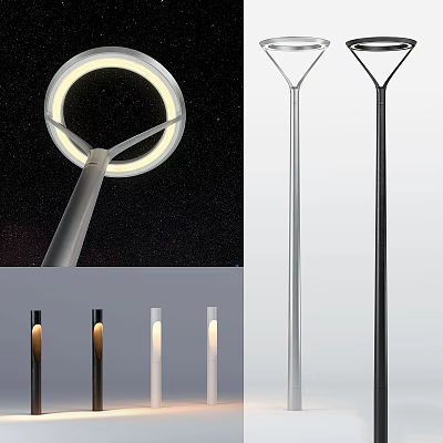 Outdoor Lights With Modern Design Silver And Black Finish Tall Pole Circular Light Head 3d model