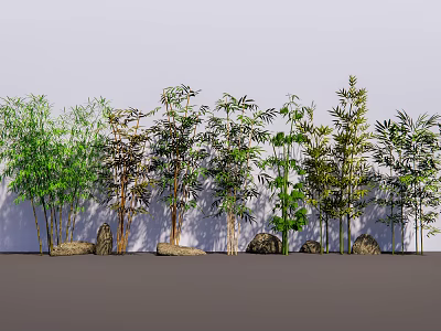 Various Types of Arbor Trees with Stones Against White Wall 3d model
