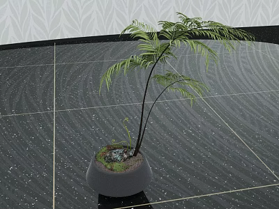 Bonsai Plant With Fern Leaves In Gray Pot On Indoor Textured Floor 3d model
