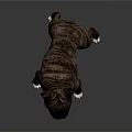 3D Rendering Of Brown Black French Bulldog With White Paws Standing On Gray Background