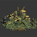 Three Plant Models Featuring Brown Rhizome Organs And Hair Like Branches With Green Flowering Plant