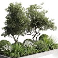 Modern Other Plants Outdoor Landscape Garden Backyard 3d model