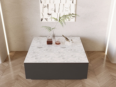 Modern Square Coffee Table Marble Countertop Coffee Table Aquatic Plant Wine Bottle Wine Glass Wine 3d model