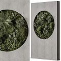 Circular Vertical Green Wall With Lush Plants On Grey Wall 3d model