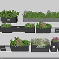 Various Flowers And Green Plants In Black Planters With Herb And Flower Combinations