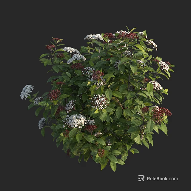 Lush Green Shrub Featuring White and Red Flowers with Fresh Leaves 3d model 