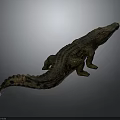 Realistic Crocodile 3D Model With Detailed Texture In Standing Pose 3d model