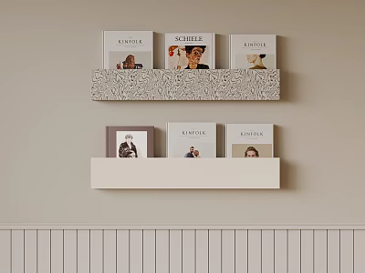 Modern Wall Mounted Book Shelves With Textured And White Design Holding Books In Minimalist Room 3d model