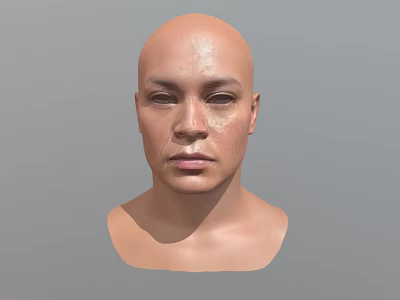 Human Head Male Head Male Head Face Middle-aged Male Head Asian Head Low Face Number Low Model Simple Model Game Video Level Super Realistic High Precision 3d model
