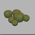 Group of Round Green Cacti with Sharp Spines on White Background 3d model