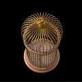 Gold Metal Birdcage Decorative Ornament Piece with Wooden Base Home Decor Accent