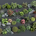 Various Garden Flowers And Green Plants With Decorative Stones And Foliage
