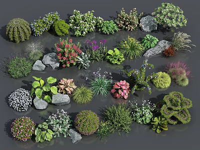 Various Garden Flowers And Green Plants With Decorative Stones And Foliage 3d model