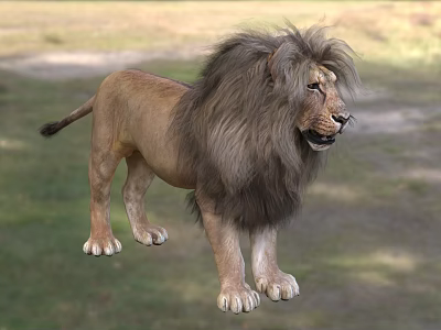 Majestic Male Lion With Thick Mane Standing In Natural Grassland Habitat 3d model