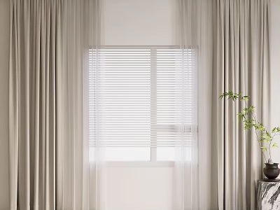 Light Colored Sheer Curtains With Window Blinds And Green Plant In Modern Interior 3d model