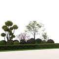Shaped Shrubs And Trees In Landscaped Garden With Green Lawn And Pathway