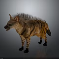 Realistic Striped Hyena With Spiky Mane Standing On Gray Background 3d model